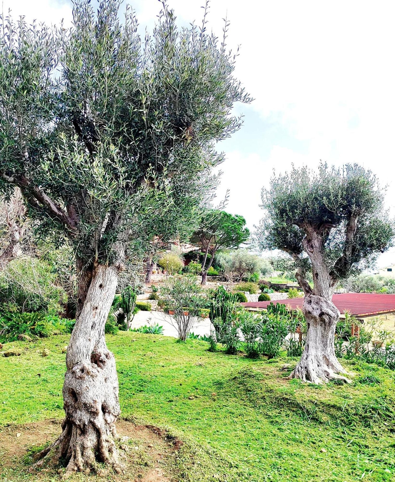 Villa Orizzonte Sullo Jonio อาโวลา ภายนอก รูปภาพ
